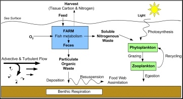 Model overview